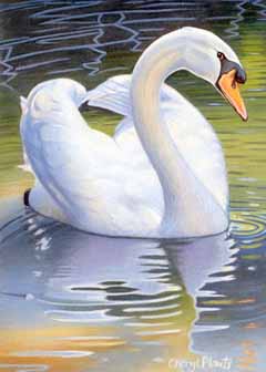 "Mute Swan" by Cheryl Plautz, Medford WI - Acrylic